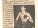 boxing-book1_page_29