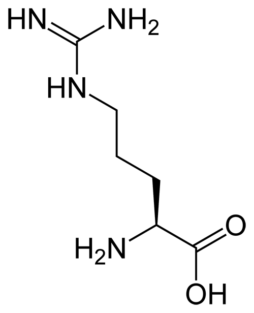L-arginine